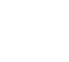 pause icon